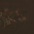 Bloom II