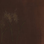 Bloom III