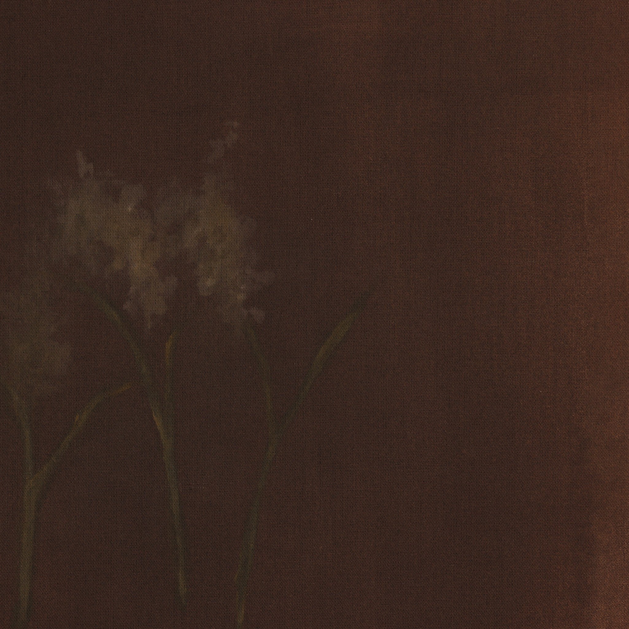 Bloom III