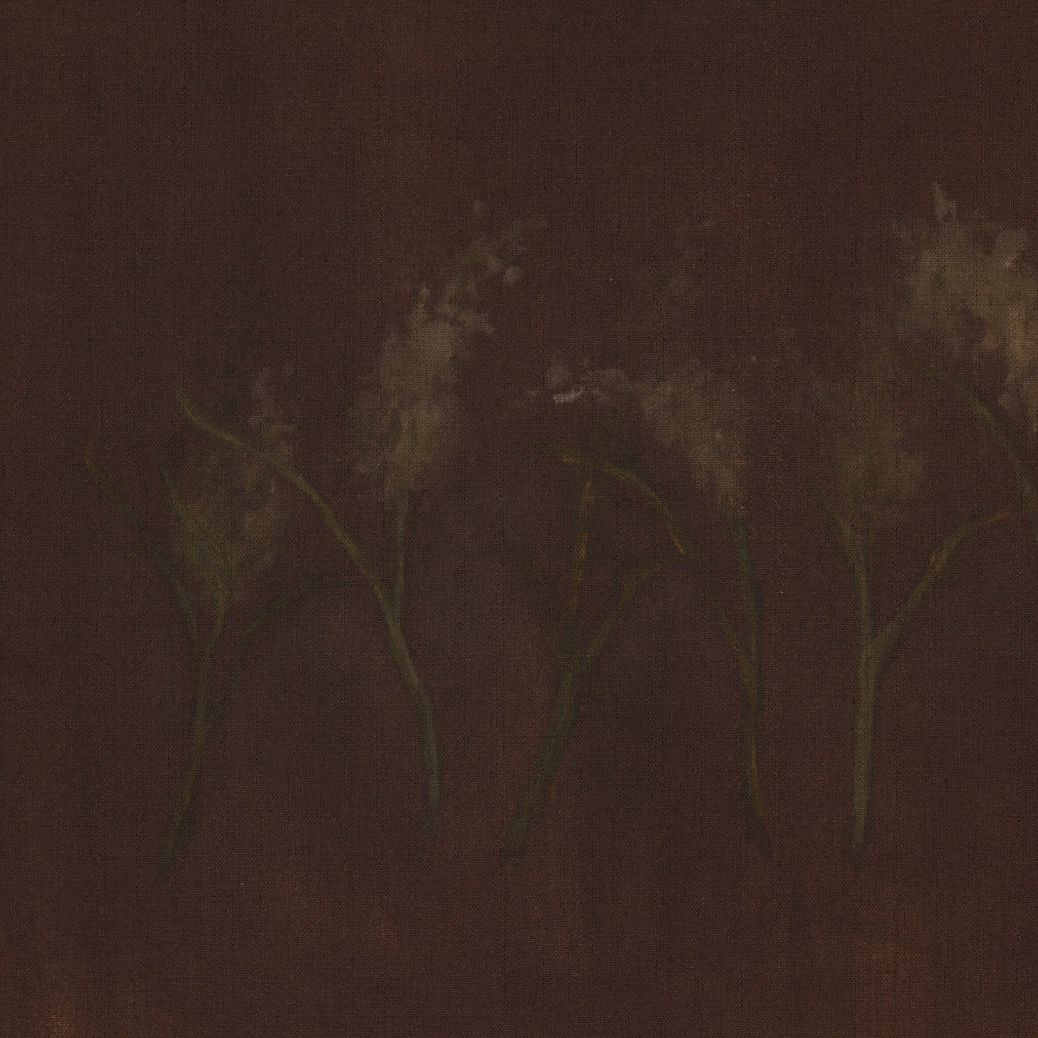 Bloom III