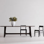 Chaises de salle à manger Saskia, lot de 2