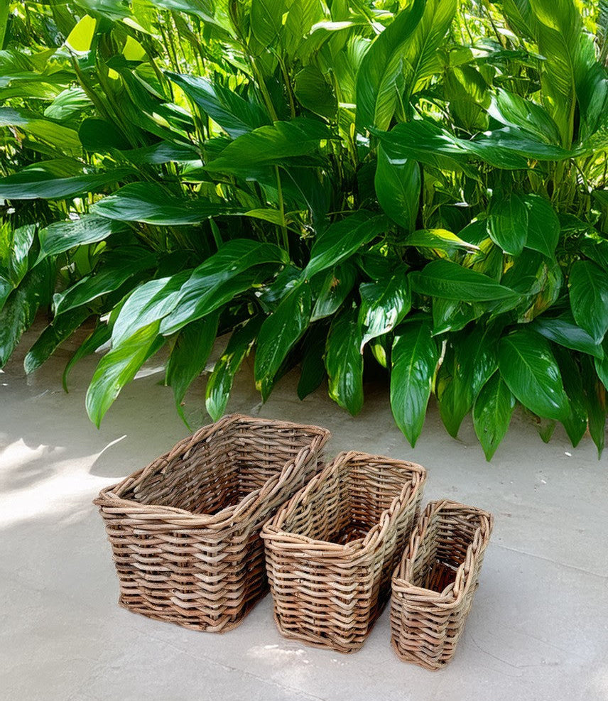 Paniers en rotin Belen, lot de 3